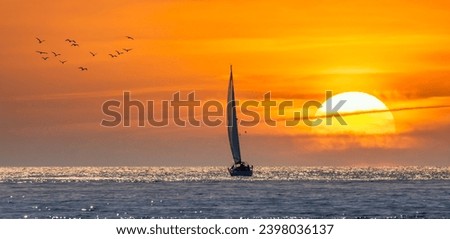 Similar – Image, Stock Photo Sailboats in the sunset at the marina in Dragor/ Denmark