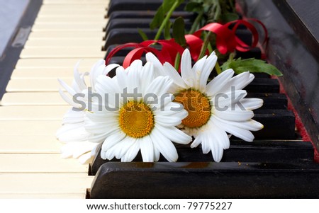 Flowers on the old piano