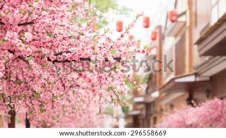 beautiful pink cherry blossom (Sakura) flower, and with vintage japan building background.