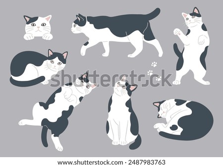 Illustrations of cute cats in various poses. Variations of black and white cats