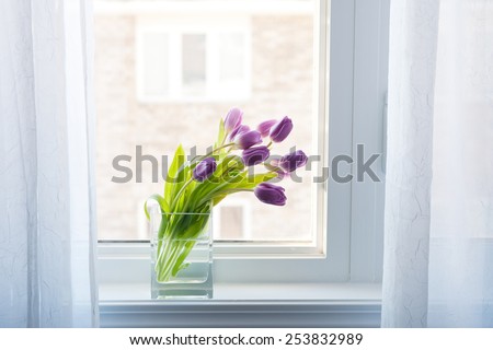 Similar – Image, Stock Photo Vases in the window Window