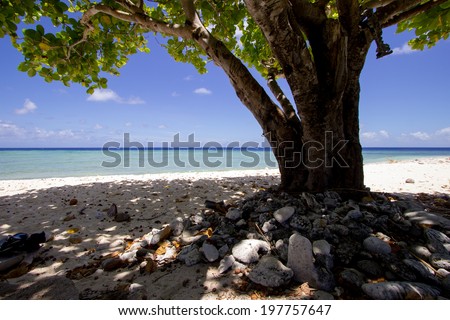 tropical beach scene from micronesia yap state ulithi atoll coral isolated island chain in the south pacific known for natural beauty and wildlife postcard tropical beaches and a very vibrant culture