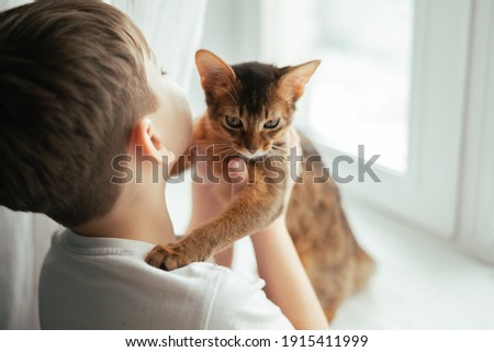 Similar – Image, Stock Photo Little boy and cat taking selfie with mobile phone on bed