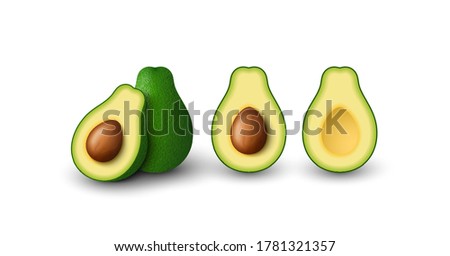 Realistic green avocado for healthy eating. Whole and cut in half avocado. Vector 3D illustration isolated on white background.