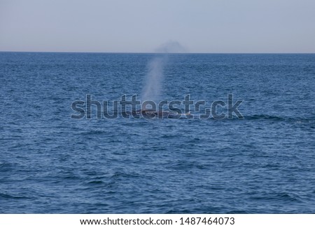 How to clean the steamhot water spout after use on your De How to clean the steamhot water spout after use on your De
