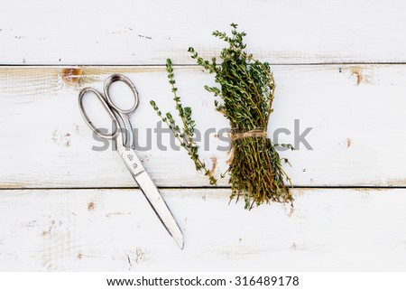 Fresh herbs over wood. Bunch of thyme on white wooden background. Cooking concept.
