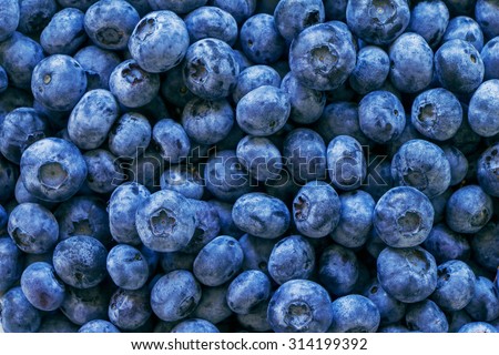Blueberries fruit vitamin fresh. Can be used for blueberry, blue, color, colorful, vitamin, nutrition, fruit, berries, antioxidant, summer, fun, food themes