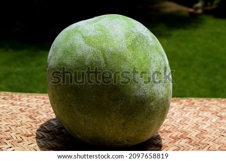 Ash gourd, kumbalanga vegetable also called winter melon, white gourd or winter gourds in outdoor nature background. Types of gourds in asia Photo stock © 