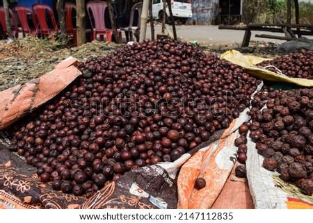 Indian dried jujube wild Ber and Imli sold in Vegetable market. Bora or Ber wild jungle fruit selling by villagers big heap wholesale market in a Village road side highway market in Maharastra India Stock fotó © 
