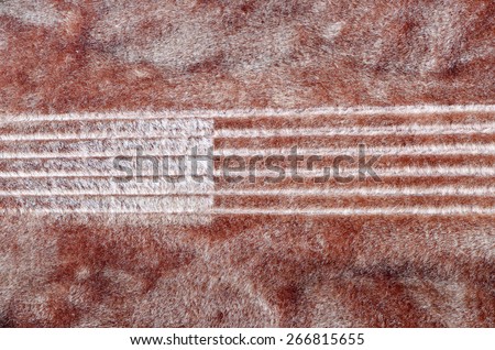 The imprint of guitar string on velvet,inside of guitar case.