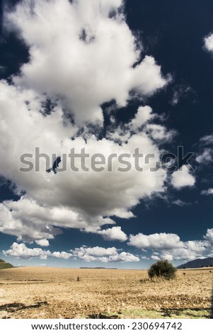 Sardinia/Deep blue sky in southern Italy