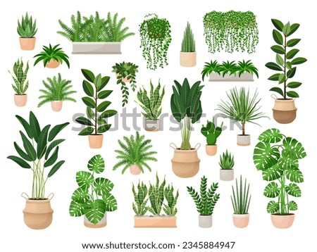 Set of houseplants in a pots for home, office, premises decor. Colorful vector collection of illustrations isolated on white background. Trendy home decor with plants, urban jungle.