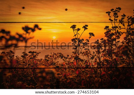 silhouette photo of grass flower field sunset on wooden texture, abstract background to happiness of nature. vintage color tone with filter color effect.