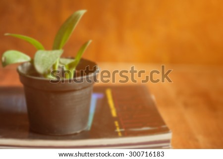 blurred of small  tree potted and magazine on wooden table,vintage color tone.