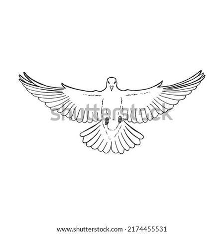 Holy Spirit Dove Images 