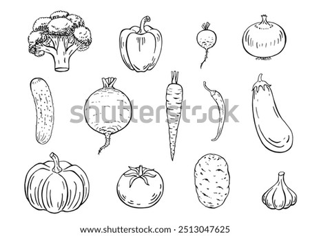 Set of vegetables. Hand drawn garden vegetable collection.