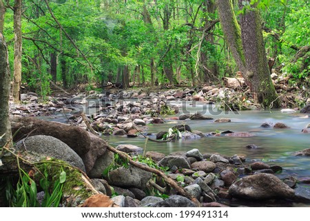 Beautiful natural stream in the forest - Hungary