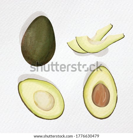 Avocado vector. Watercolor paper texture illustration isolated on white background.