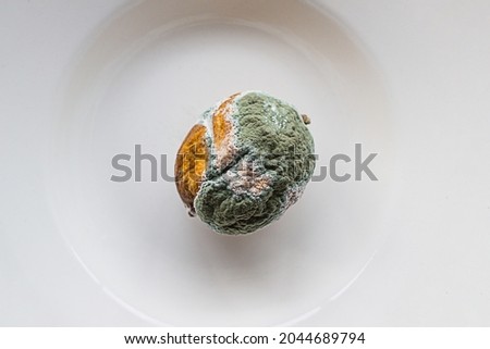 Similar – Image, Stock Photo rotting date | is rung in