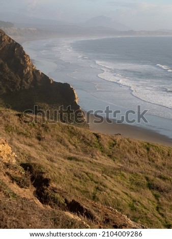 Grassy hillside above the Oregon Coast at Blanco State Park. Photographed at the golden hour. Stockfoto © 