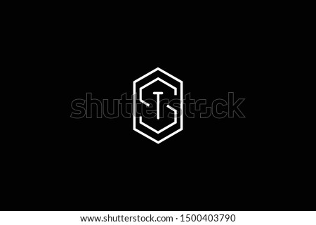 Initial ST TS Letter Logo Design Vector Template. Monogram and Creative Alphabet S T Letters icon Illustration. Stock fotó © 
