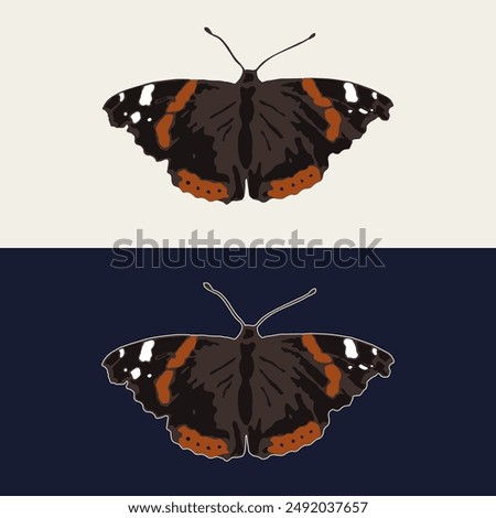 Admiral butterfly with spread wings, antennae. Single isolated colorful illustration. Image tracing, cleaned and simplified image. Realistic style. Not AI.