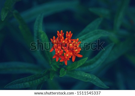 Shutterstock Puzzlepix