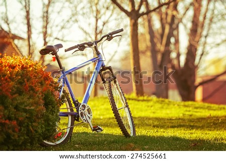 One blue bicycle in the park on a bright summer spring day outdoor, concept of joy of life, hipster lifestyle, Instagram filters used