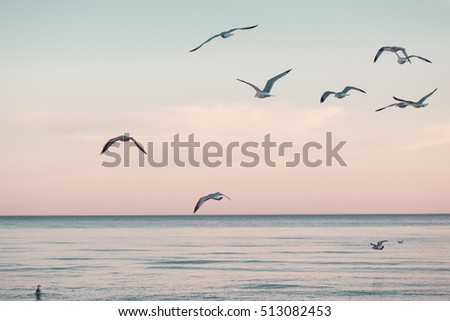 Similar – Image, Stock Photo Seaside on cloudy day