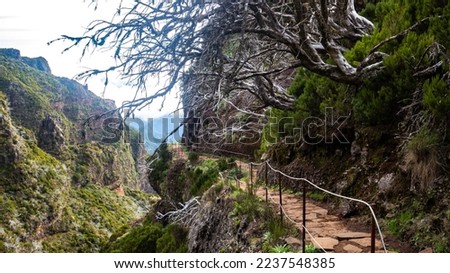 Similar – Foto Bild Madeira | Pico do Arieiro