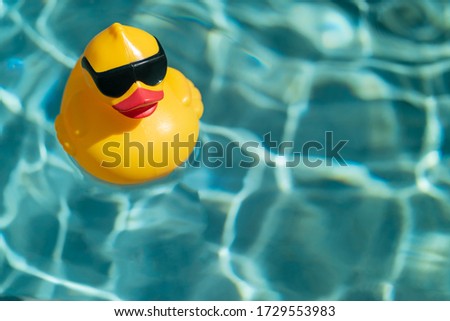 Similar – Image, Stock Photo bathing day bathe Beach