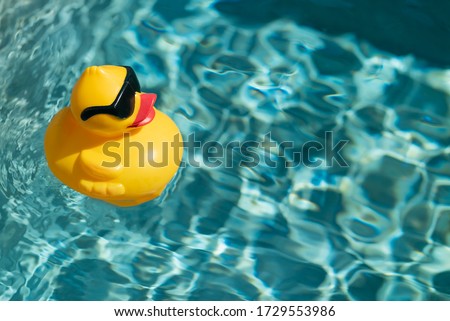 Similar – Image, Stock Photo bathing day bathe Beach