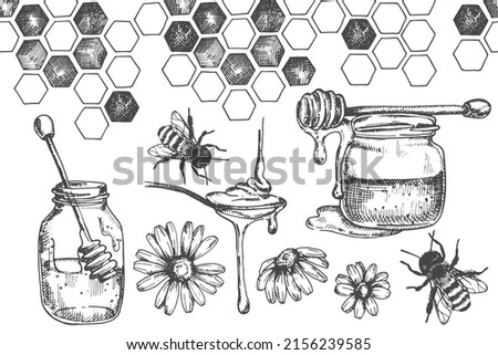 
vintage vector drawing on the theme of honey, beekeeping. black and white illustration graphics, sketch. honey, honeycombs, bees.