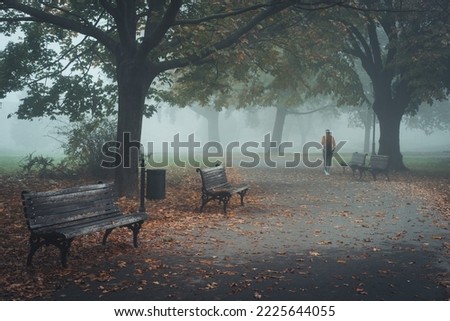 Similar – Cold morning Environment