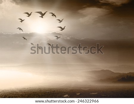 Sepia tone, birds flying in the shape of heart against a evening or morning sky and sun in the background.