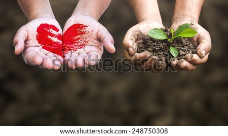 First, painted red heart on hands. Second, hands holding a young plant. Ecology, World Environment Day concept.