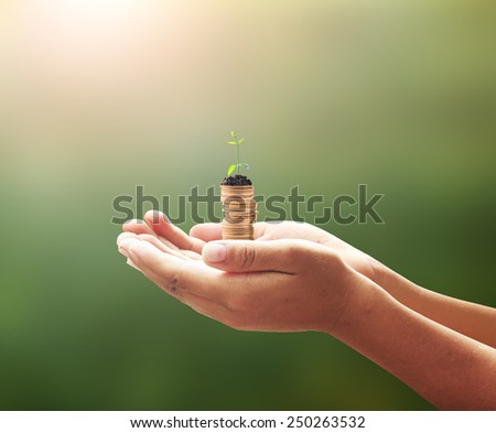 Human hand holding golden coins with young plant. Seedling and coins. Money coin concept.