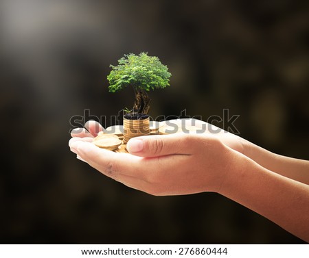 Human hand holding golden coins with medium plant or big tree. Money coin concept.