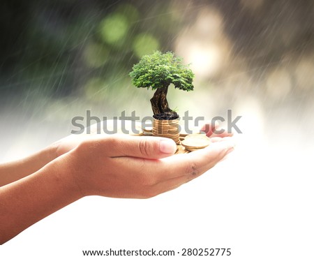 Human hand holding golden coins with big tree over nature background. Seedling in coins. Money coin concept.