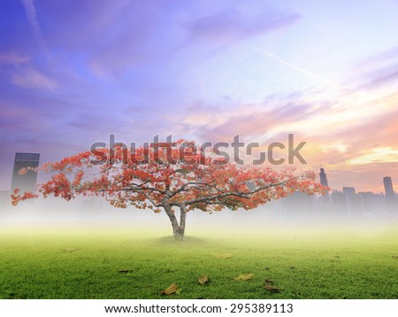 Big plant with beautiful red flowers on big city with colorful sunset background. Ecology concept. World Environment Day concept.