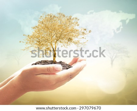Human hands holding golden plant on blurred world map of clouds over beautiful nature background. Ecology, Environment, Business, Investment concept.