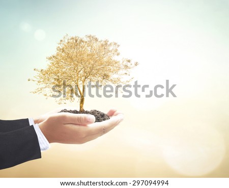 Businessman hands holding golden plant over beautiful nature background. Ecology, Environment, Business, Investment concept.