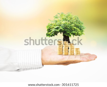 Businessman hand holding golden coins with medium plant or big tree over beautiful nature background. Money coin concept.