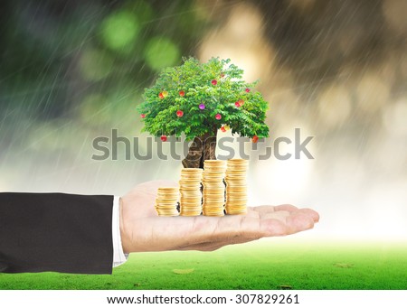 Businessman hand holding golden coins and fruitful tree or big plant with rainy over blurred beautiful green circle bokeh light background. Investment concept. Concept for money coin.