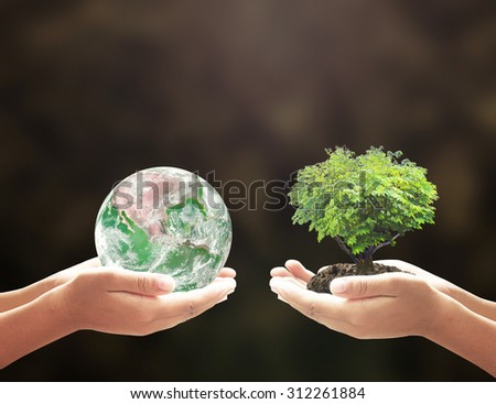 First, human hands holding green planet. Second, growing plant in the shape heart and soil with rainy over blurred nature background. Elements of this image furnished by NASA.