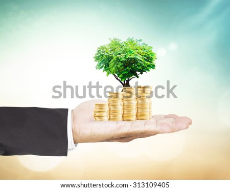 Businessman hand holding golden coins and growing tree or plant in the shape heart with soil over beautiful nature background. Money coin concept.