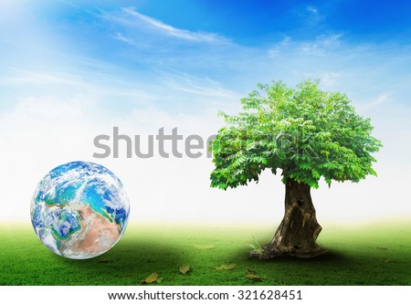 Crystal globe resting on beautiful green meadow with big tree background. World Environment Day concept. Elements of this image furnished by NASA.