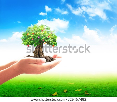 Human hand holding fruitful big plant with soil on beautiful green meadow and blue sky background. Ecology, World Environment, Tree of Knowledge concept.