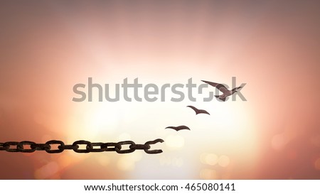 Forgive concept: Silhouette of bird flying and broken chains at sunset background Photo stock © 