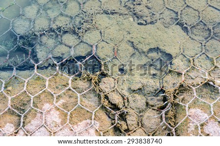 image of net made from wire covering the rocks near shore line.